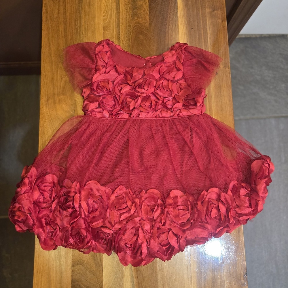 Nanette Baby Short Sleeve Red Rose Tulle Dress 6/9 Months